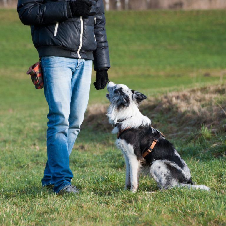 Einzeltraining